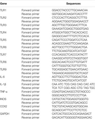 Polysaccharides From the Aerial Parts of Tetrastigma Hemsleyanum Diels et Gilg Induce Bidirectional Immunity and Ameliorate LPS-Induced Acute Respiratory Distress Syndrome in Mice